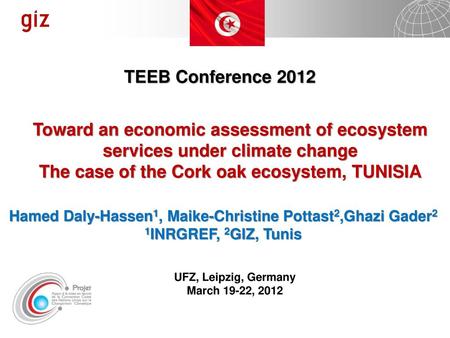 The case of the Cork oak ecosystem, TUNISIA