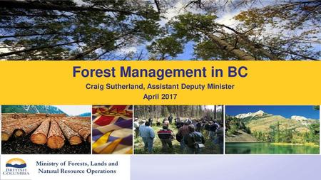 Forest Management in BC