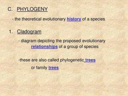 C.   PHYLOGENY - the theoretical evolutionary history of a species