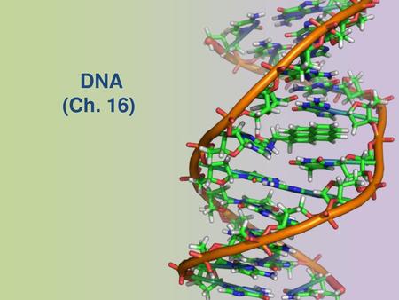 DNA (Ch. 16).