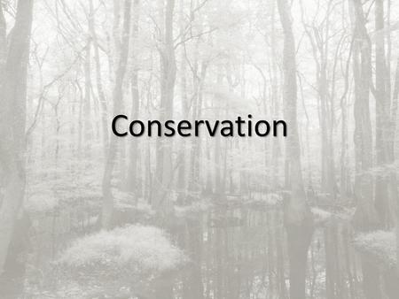 Conservation.