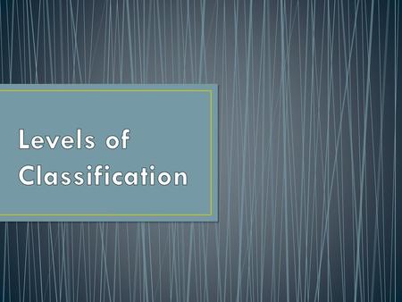 Levels of Classification