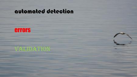 automated detection errors validation