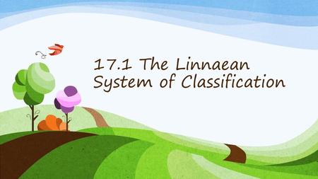 17.1 The Linnaean System of Classification