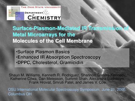 Surface-Plasmon-Mediated IR Transmission of Metal Microarrays for the