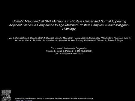 Somatic Mitochondrial DNA Mutations in Prostate Cancer and Normal Appearing Adjacent Glands in Comparison to Age-Matched Prostate Samples without Malignant.