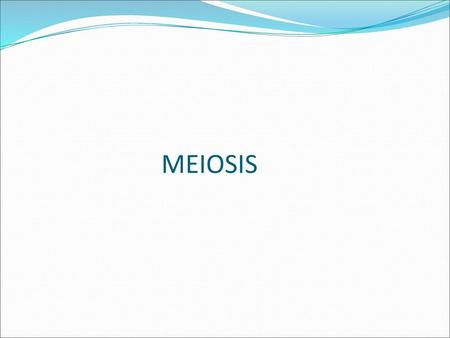 MEIOSIS.