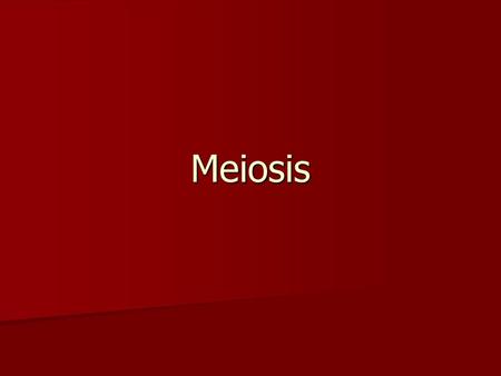 Meiosis.