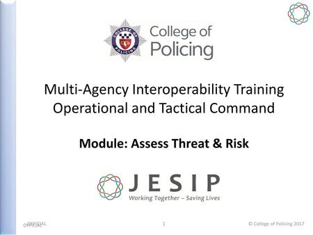 Module: Assess Threat & Risk