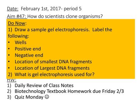 Date:  February 1st, period 5