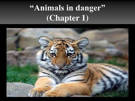 “Animals in danger” (Chapter 1)