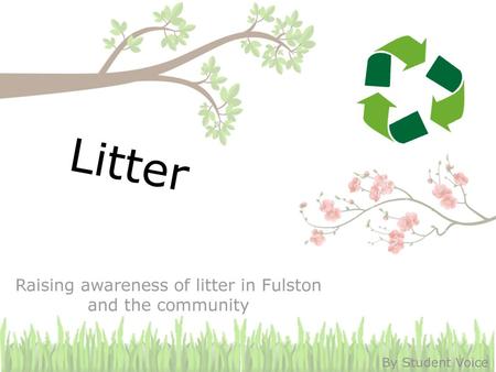 Raising awareness of litter in Fulston and the community