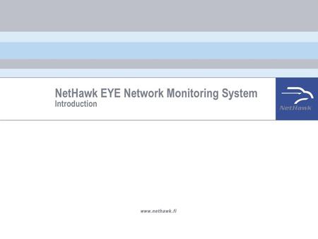 NetHawk EYE Network Monitoring System Introduction