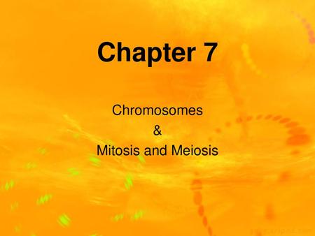 Chromosomes & Mitosis and Meiosis