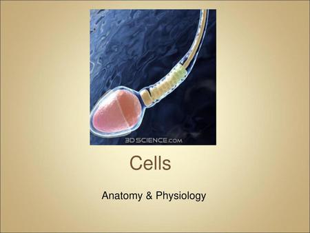 Cells Anatomy & Physiology.