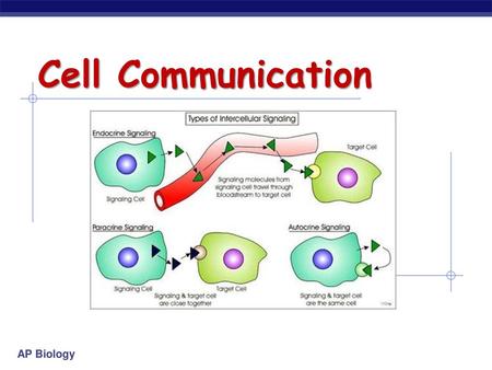 Cell Communication.