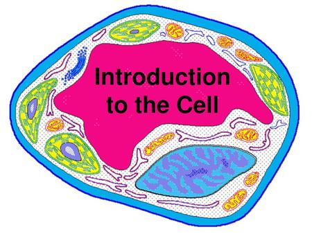 Introduction to the Cell