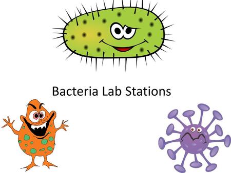 Bacteria Lab Stations.