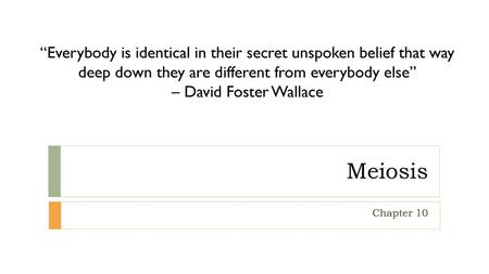 “Everybody is identical in their secret unspoken belief that way deep down they are different from everybody else” – David Foster Wallace Meiosis Chapter.