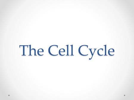 The Cell Cycle.