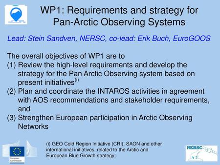 WP1: Requirements and strategy for Pan-Arctic Observing Systems