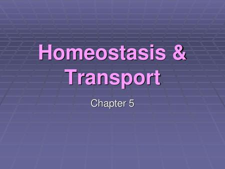 Homeostasis & Transport