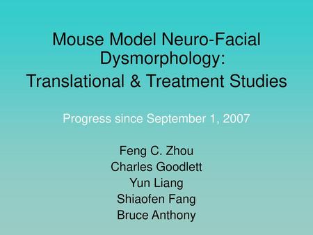 Mouse Model Neuro-Facial Dysmorphology: