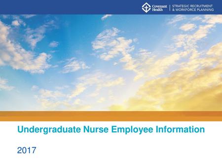 Undergraduate Nurse Employee Information