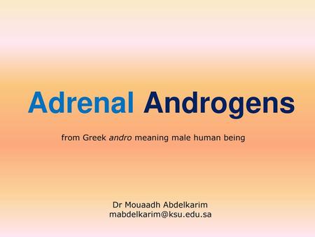 Adrenal Androgens from Greek andro meaning male human being