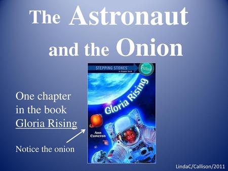 Astronaut and the Onion