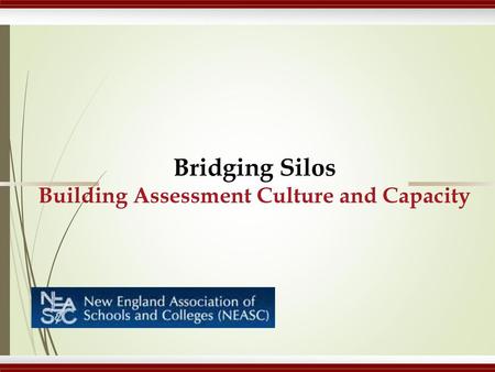 Bridging Silos Building Assessment Culture and Capacity