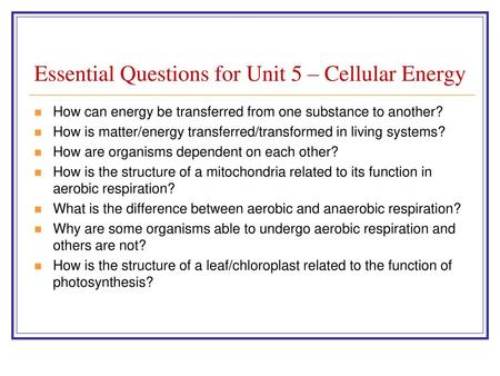 Essential Questions for Unit 5 – Cellular Energy