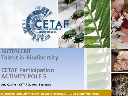 Talent in Biodiversity CETAF Participation ACTIVITY POLE 5