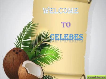 WELCOME TO celebes www.celebes.com.