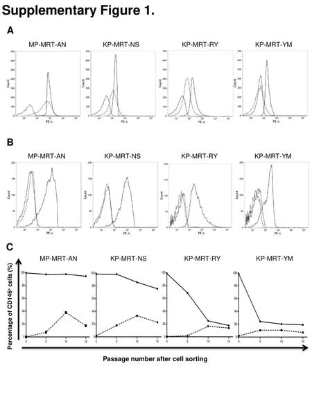 Supplementary Figure 1. A B C MP-MRT-AN KP-MRT-NS KP-MRT-RY KP-MRT-YM