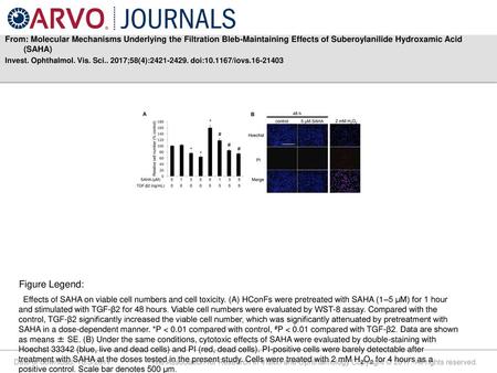 From: Molecular Mechanisms Underlying the Filtration Bleb-Maintaining Effects of Suberoylanilide Hydroxamic Acid (SAHA) Invest. Ophthalmol. Vis. Sci..