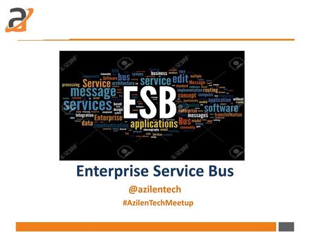 Enterprise Service Bus