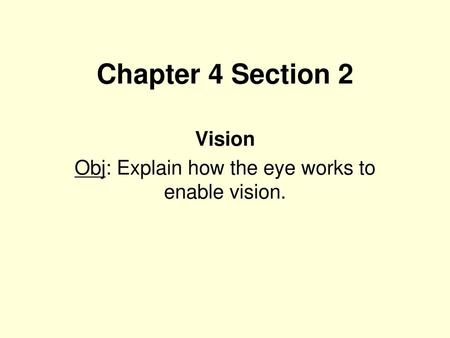 Vision Obj: Explain how the eye works to enable vision.