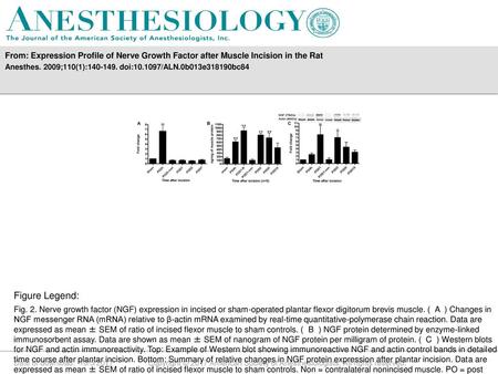 Anesthes. 2009;110(1): doi: /ALN.0b013e318190bc84 Figure Legend: