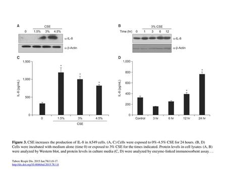 Figure 3. CSE increases the production of IL-8 in A549 cells