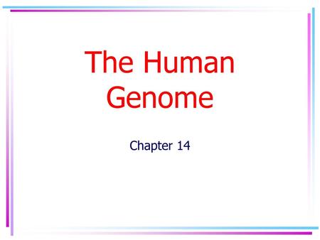 The Human Genome Chapter 14.