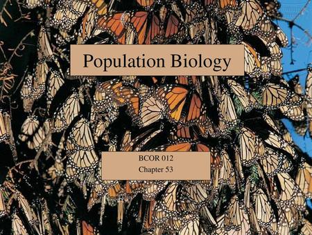 Population Biology BCOR 012 Chapter 53.