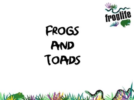 Frogs and Toads.