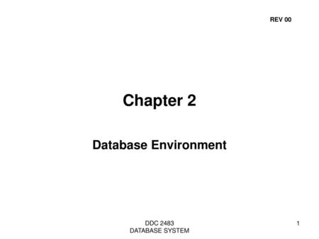 REV 00 Chapter 2 Database Environment DDC 2483  DATABASE SYSTEM.