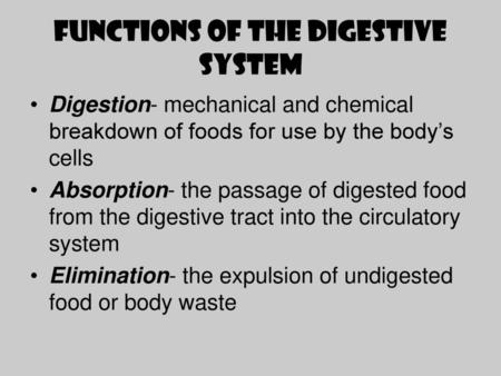 Functions of the Digestive System