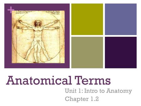 Unit 1: Intro to Anatomy Chapter 1.2