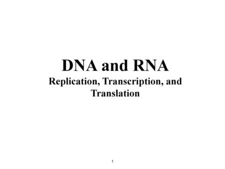 Replication, Transcription, and Translation