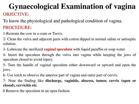 Gynaecological Examination of vagina