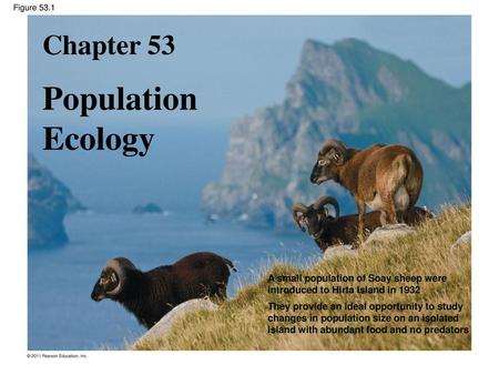 Population Ecology Chapter 53