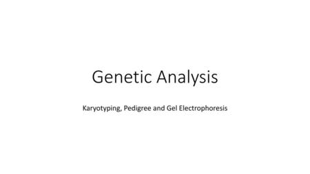 Karyotyping, Pedigree and Gel Electrophoresis